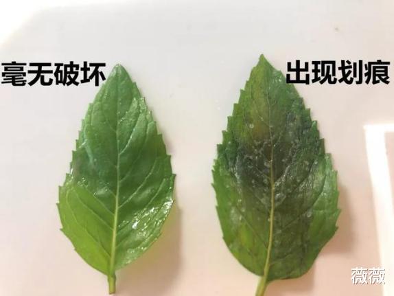 屈臣氏 屈臣氏员工无情揭露：这些“昂贵护肤品”他们从来不用，只是在浪费钱