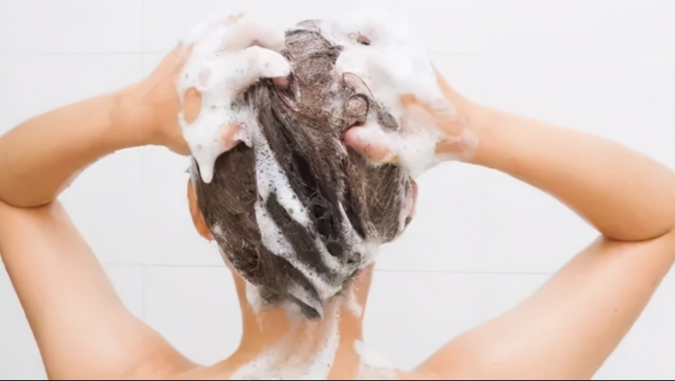 黑枣 五黑汤，春天把它吃起来，让你的一头秀发飘逸起来