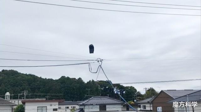 高过两层楼?日本突现神秘巨型黑色物体!究竟是何物?为何引担忧