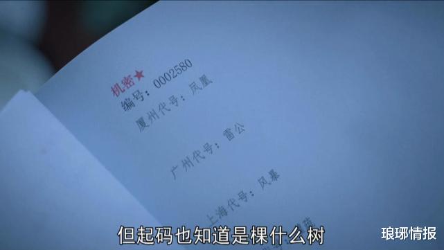 间谍|对手:“凤凰行动”间谍案告破,雷公风暴仍在肆虐,续集早已埋下伏笔!