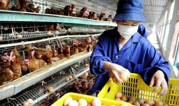 曾在农村随处可见的“水磨石”地面,而今却不常见了,这是为何?