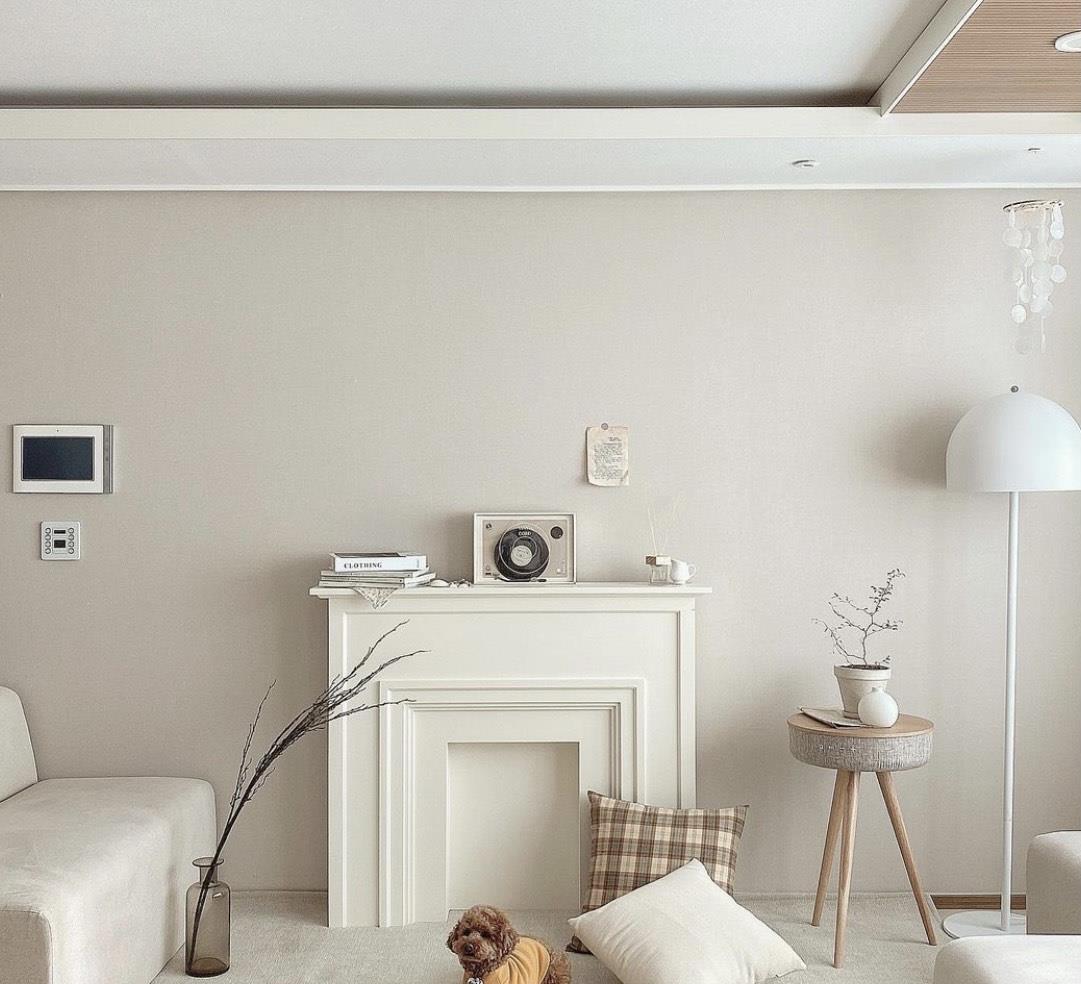 韩国太太的精致治愈系之家，圈粉无数，一家四口日子过得超幸福！