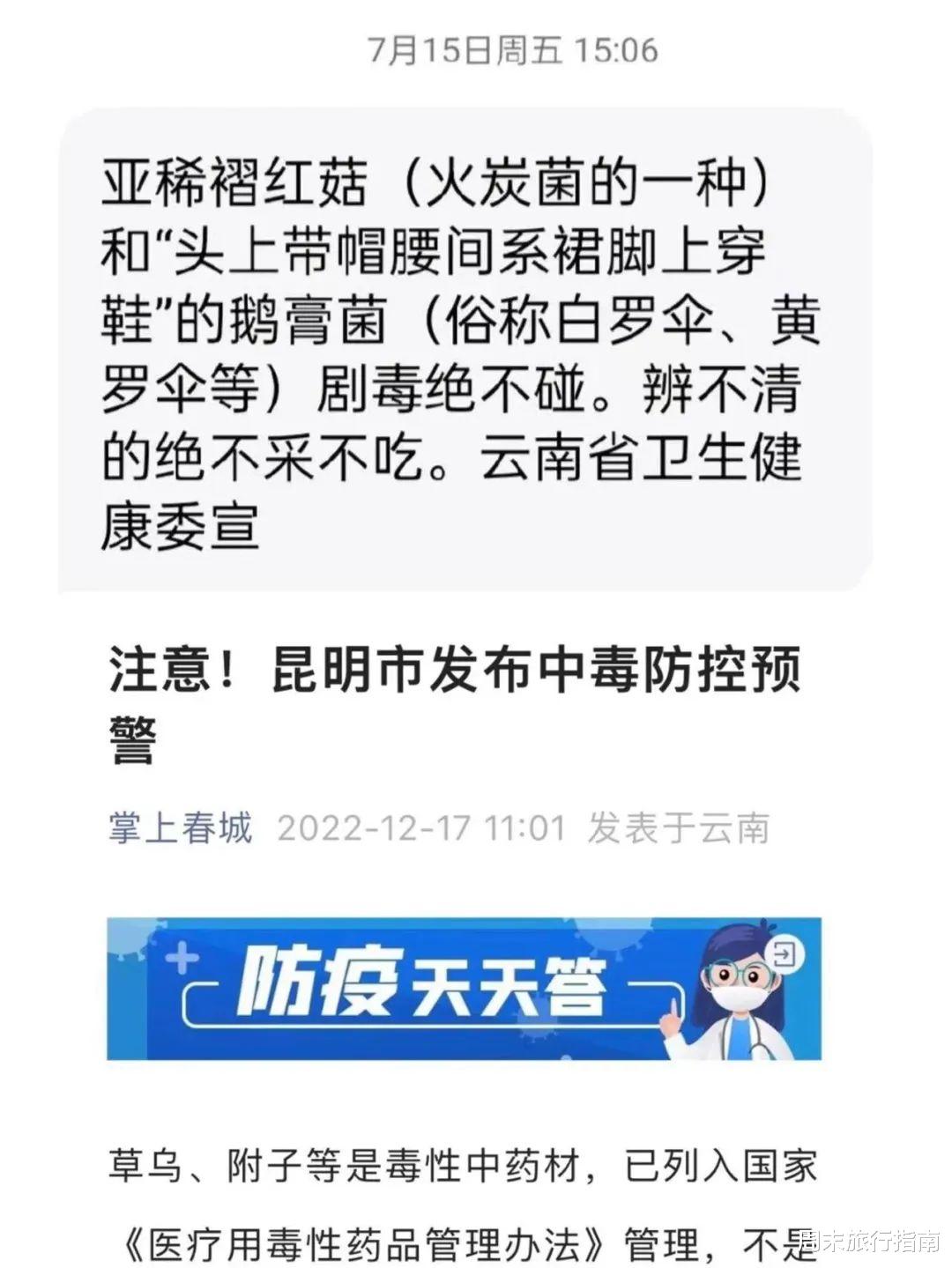野生菌|刘亦菲新剧刷屏!均温20℃的神仙取景地,私藏“全国最毒”美味,吃过就上头!