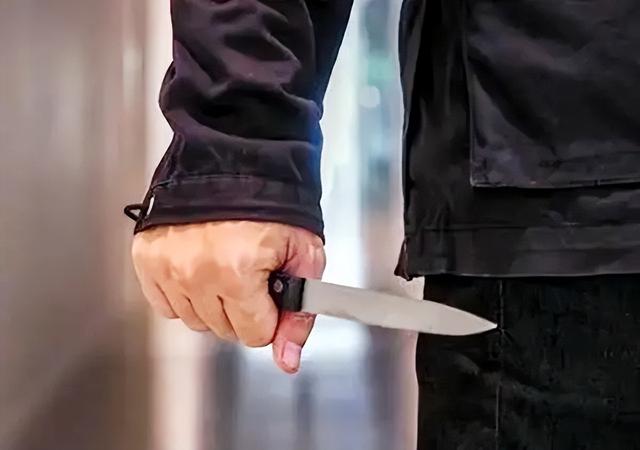 92年母子杀害屠夫后各自逃亡,28年后儿子被捕,不知母亲早已身亡