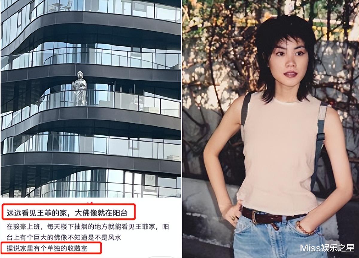 张柏芝|王菲手握10套房,张柏芝坐拥10台豪车,两人吸金能力有差距