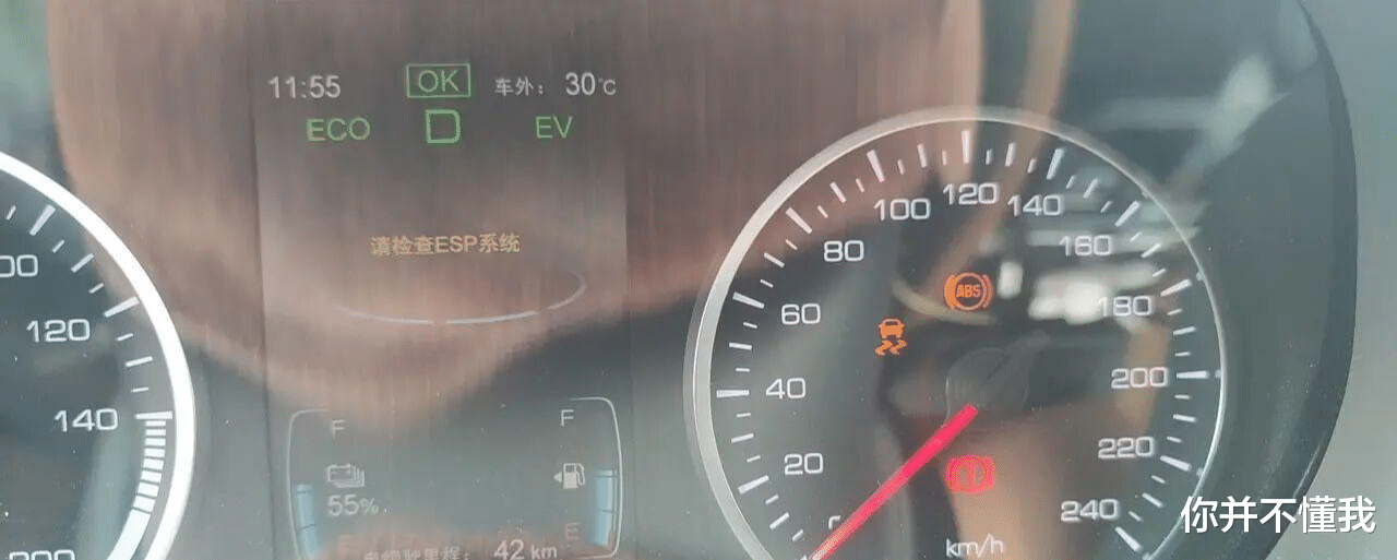 比亚迪，没有豪车的命，却修出豪车的病