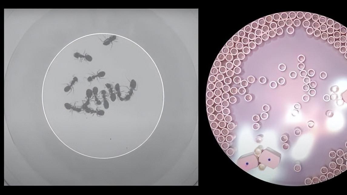 meta|腾讯今年关停超40个项目，Meta用7.25亿美元摆平丑闻