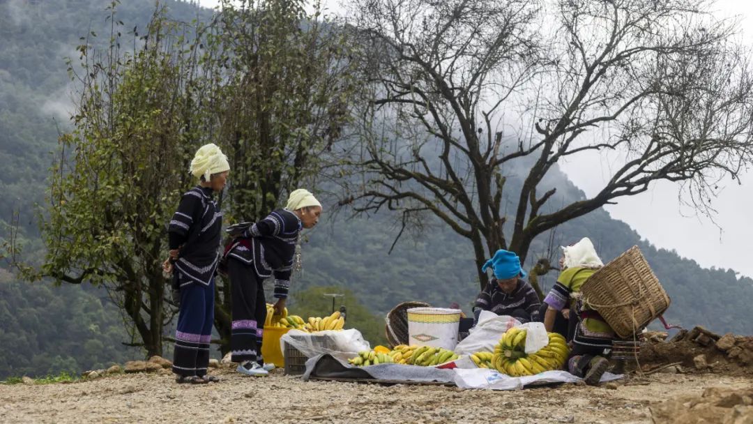 梯田|到红河苏红寨,体验宜居的半山康养生活!