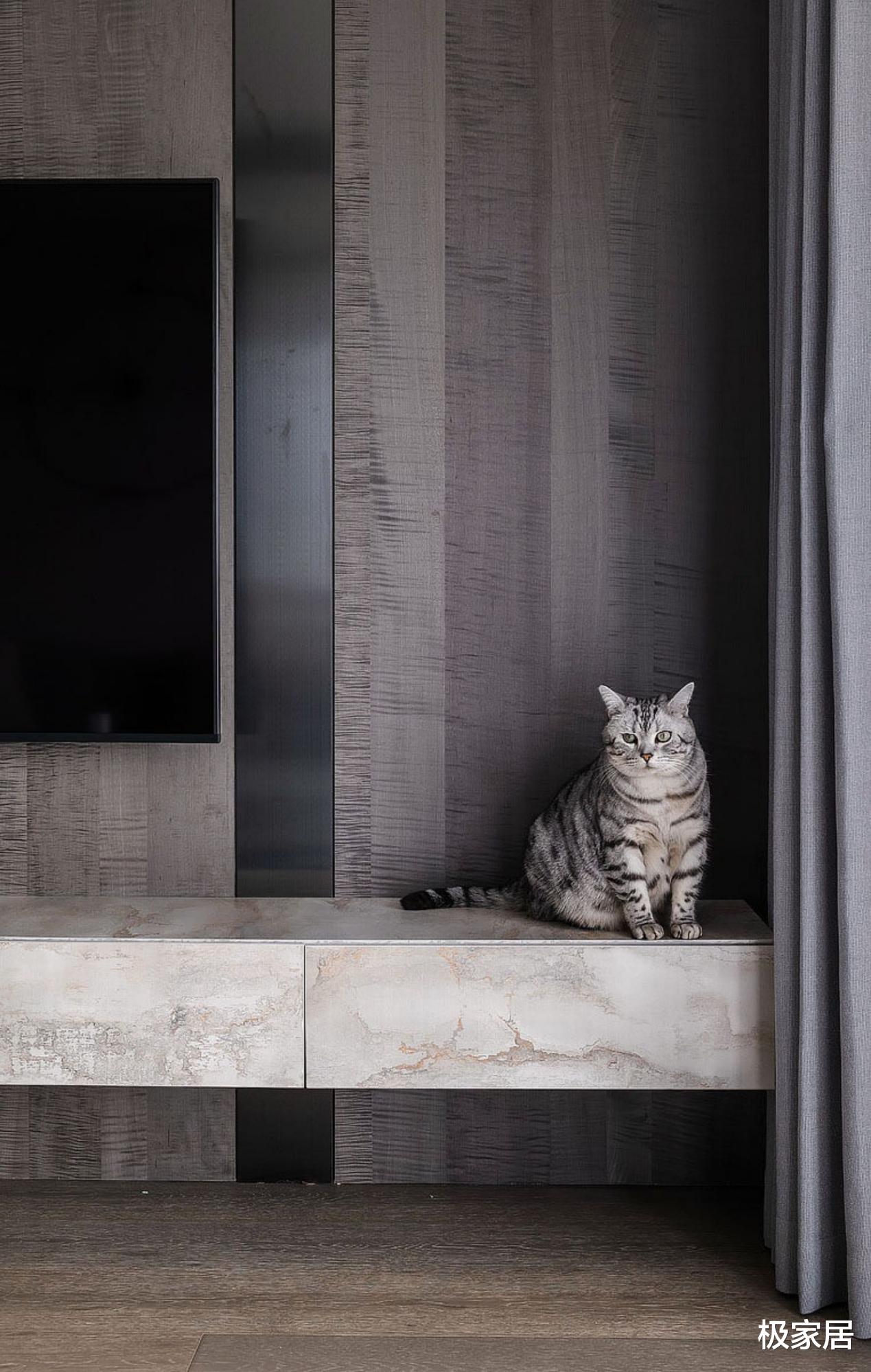 极简风也能被填满各种元素,打造手办的家,还有猫咪的爱巢