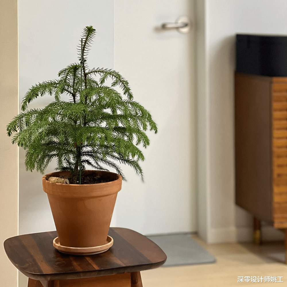 普通人的家大概如此!不需要多么富丽堂皇,简简单单但却干净舒适自在