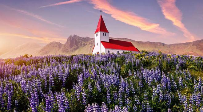 蚊子|世界上唯一没有蚊子的国家,被联合国盖章NO.1,还是国人最爱!