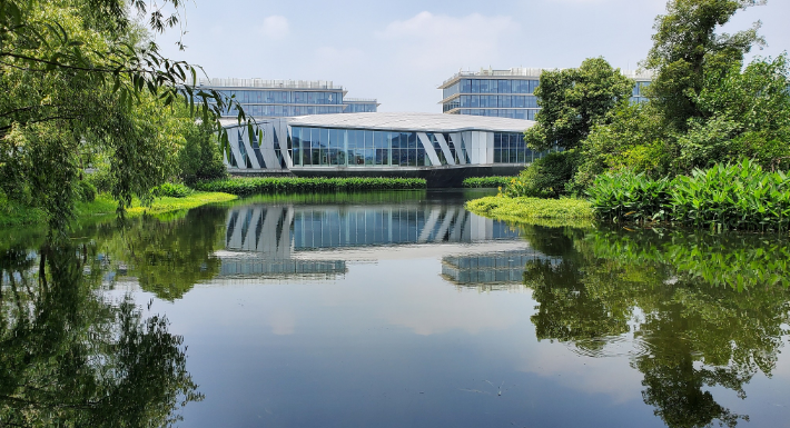 专利纠纷|大厂裁员，35岁危机怎么破？