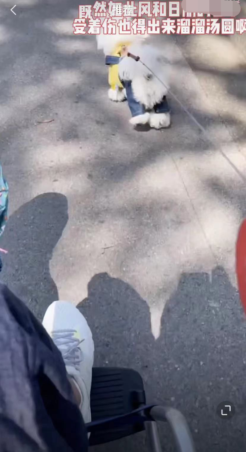 孙悦|49岁孙悦不顾疫情上海街头遛狗,坐轮椅行动不便,嫁富商豪宅曝光