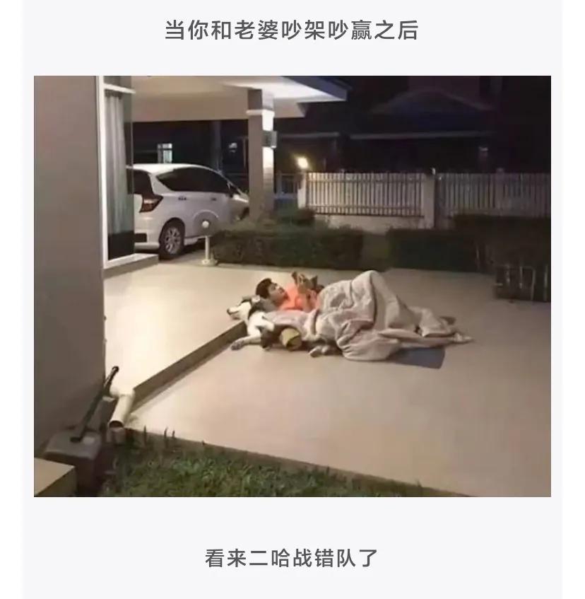 孙一宁 神回复：孙一宁直播间50多万人，算是直播界第一人吗？神评绝了