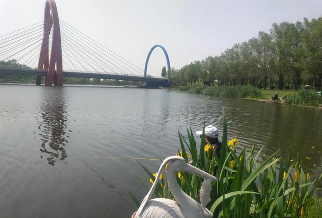 钓鱼|钓鱼:男人的新式“鸦片”,为何1.4亿人在这条路上越走越远?