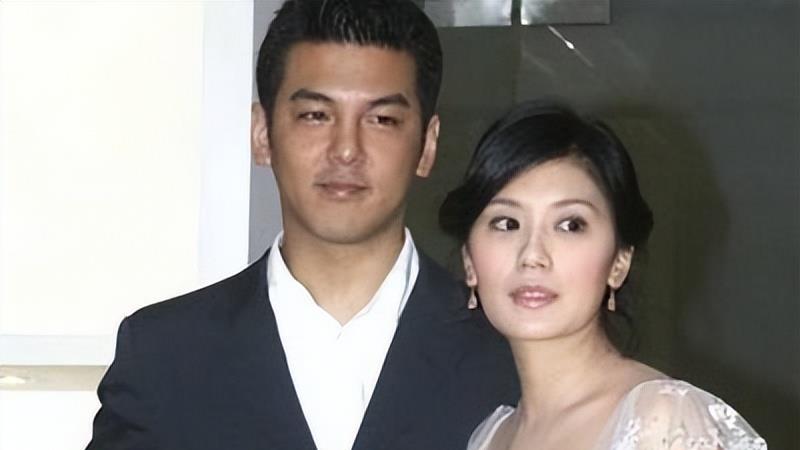 |贾静雯砸2600万与前夫夺女，二婚嫁小9岁男友，48岁努力生第四胎