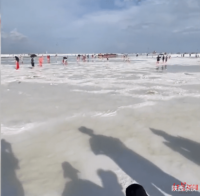 游江河|茶卡盐湖是“食用盐生产基地”？