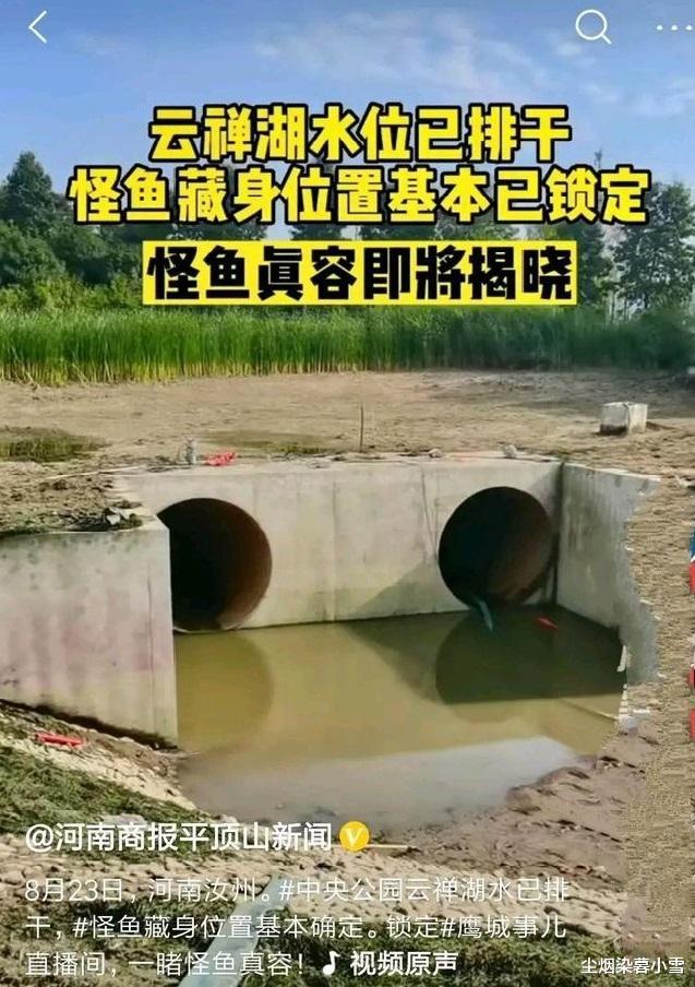 3000万网友围观,只为了观看一条鱼的抓捕过程,这条鱼什么来头?