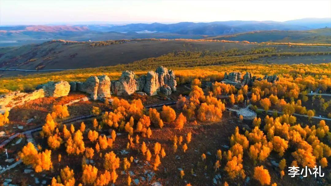 达达|又是一年秋叶黄 达达线 热阿线