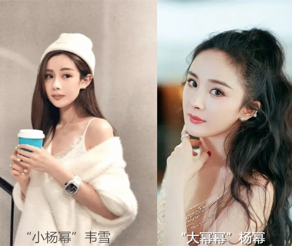 秦奋|“小杨幂”韦雪：一心攀豪门获利九个亿，王思聪却骂她是地摊货