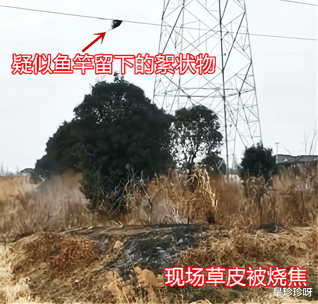 泰州|江苏泰州：一名垂钓者意外身亡，疑因鱼竿触碰高压线所致