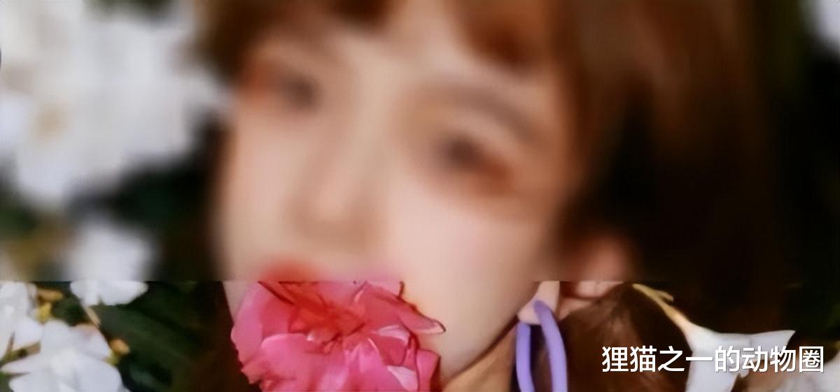 女孩嘴含夹竹桃拍照中毒送医,毒性如此强,为何城市里随处可见?