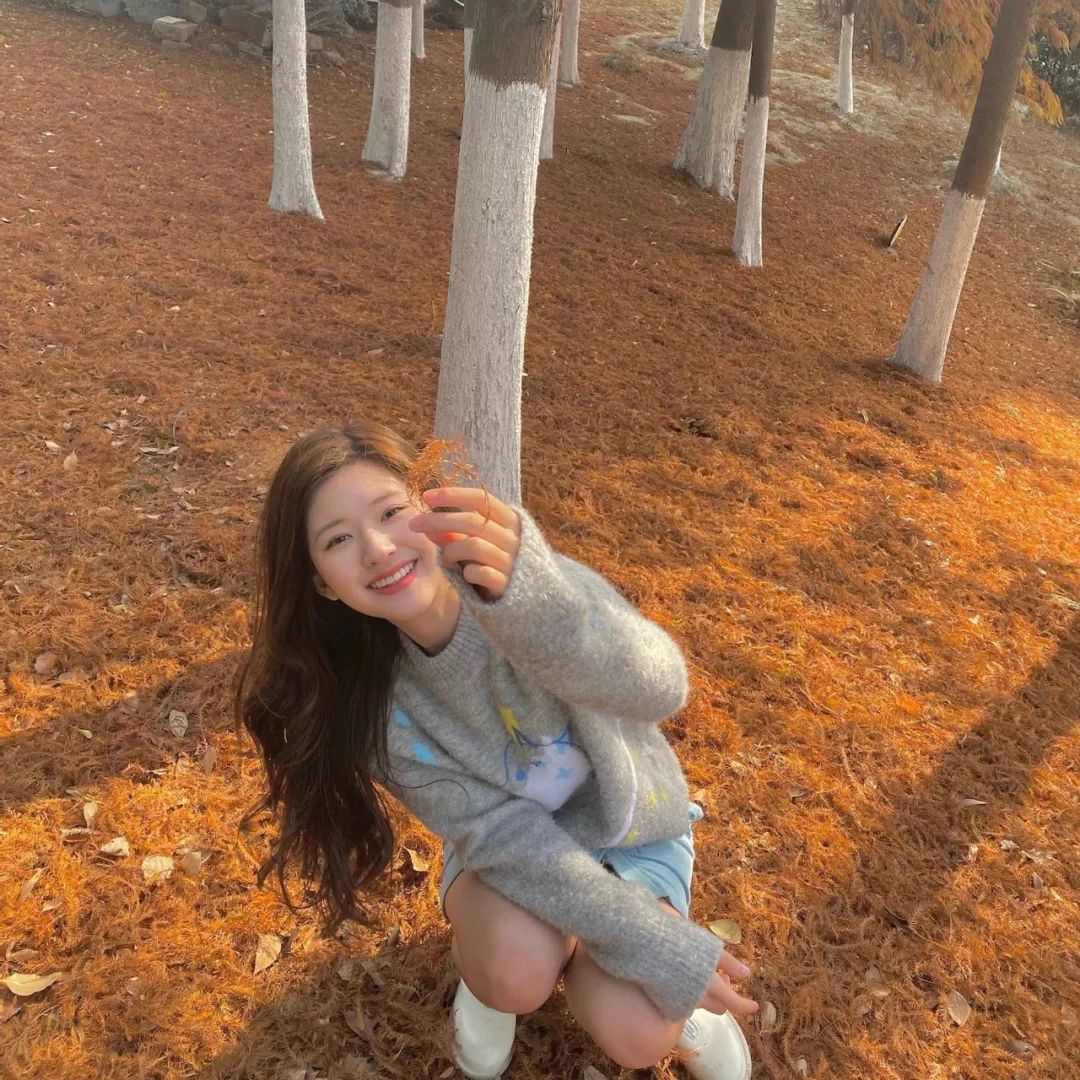 爱豆丨赵露思头像表情包