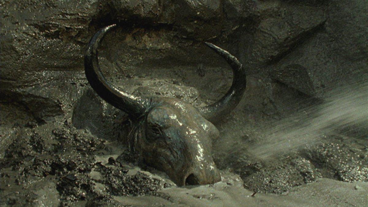 3.6万年前的远古生物味道如何?科学家出于好奇,大胆尝了一块
