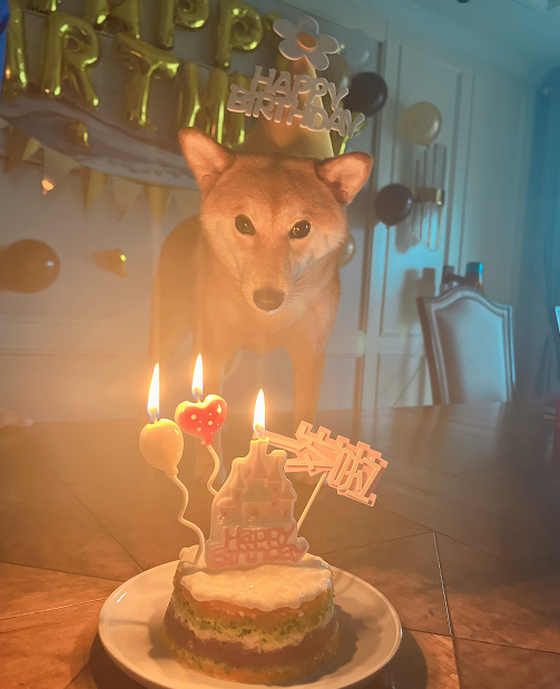 吴冠希 尴尬！吴冠希给爱犬庆生，张常宁美甲抢镜，遭调侃：结婚时却沉默