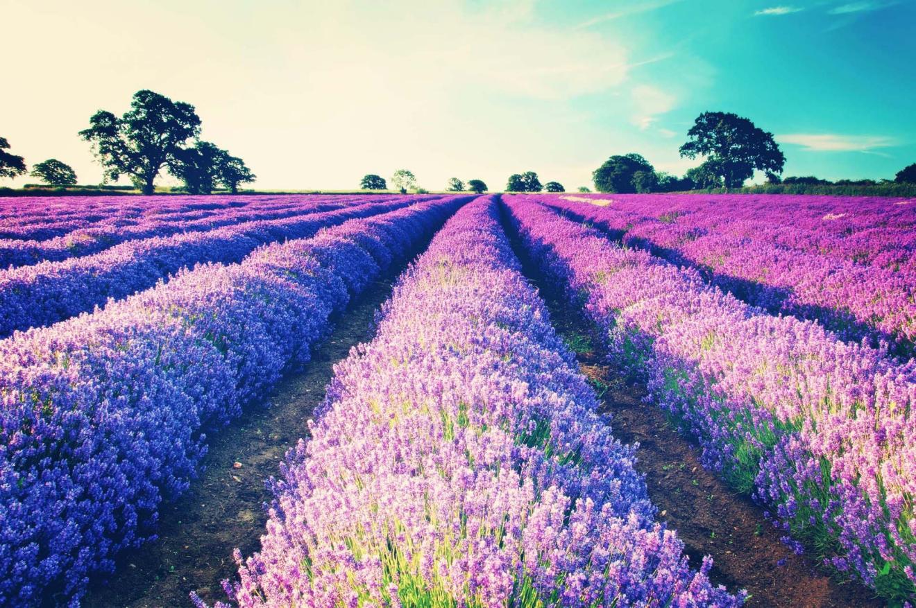 |职场中，有“三种人”，领导绝对会远离，千万别再和他们搞在一起