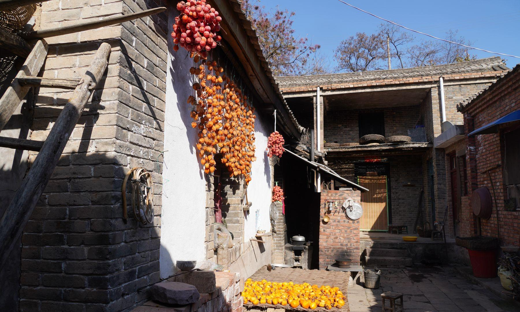 河南小山村,1个小院生活2家人60年,和睦相处没有红过脸