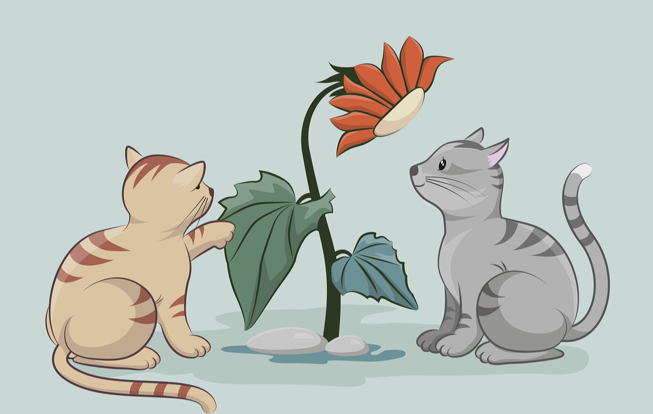 婆婆每月花4千养外孙,儿媳8年后拒养老:要么女儿家,要么养老院