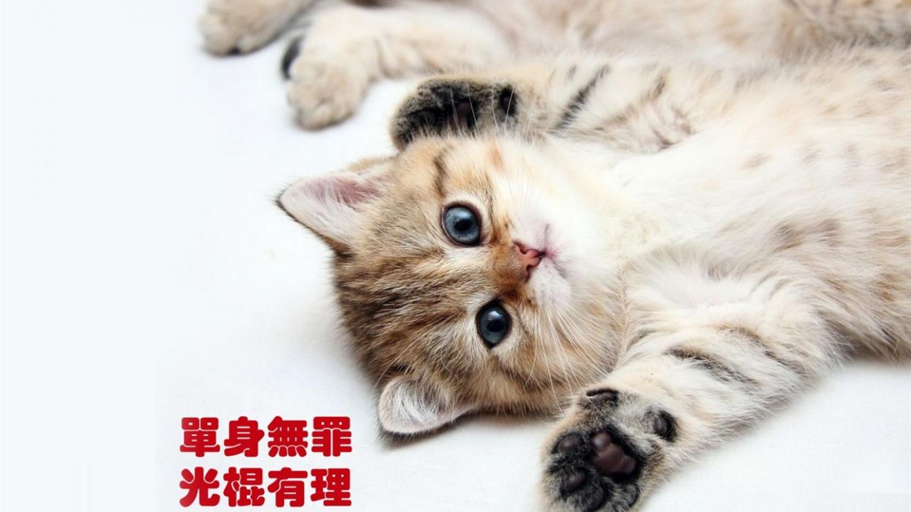 许磊|职场真正想要获得独立事业并非易事，从这些层面入手