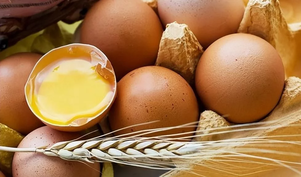 鸡蛋|鸡蛋换种吃法,能养肝、润肺、活血、延缓寿命!很多人都这样吃