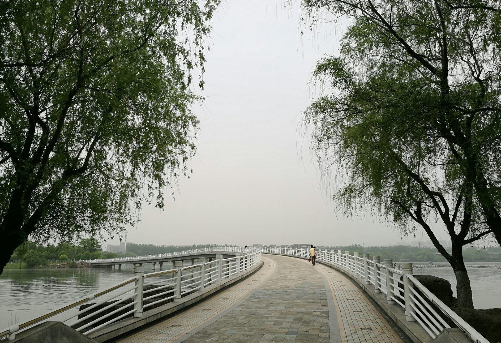 上海市|合肥闹市中的一个湖，2022亩融于山水中，是休闲放松好去处