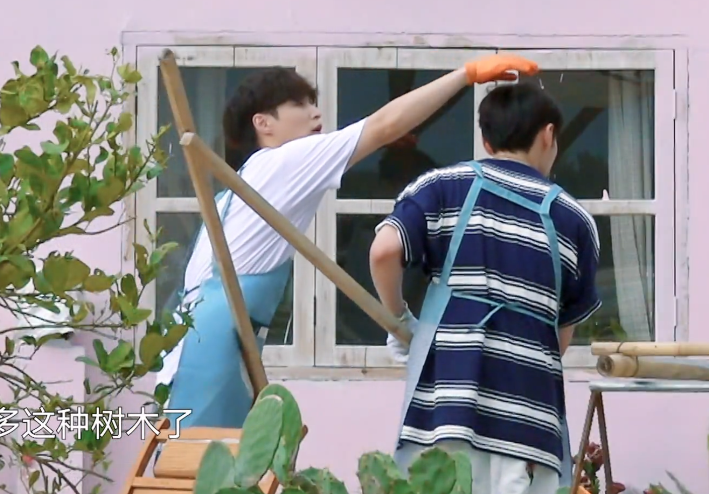 “向往的生活”刷房子进行时（二）