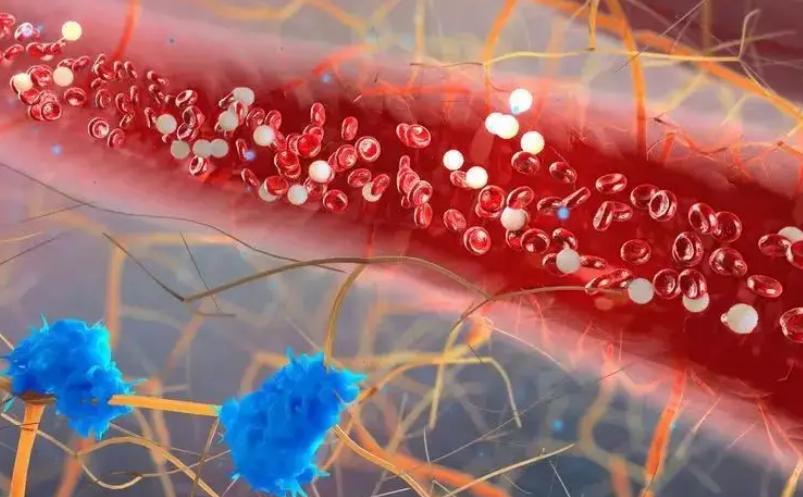 白萝卜|头号“溶栓高手”已公开,不是白萝卜,提醒:每天吃两口,血管畅通无阻