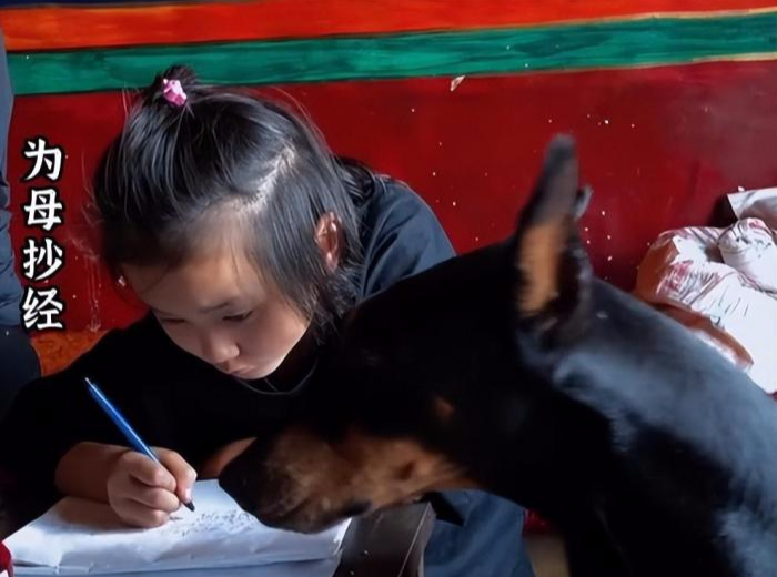 |悲痛！陶红因病去世，9岁女儿一路跪拜