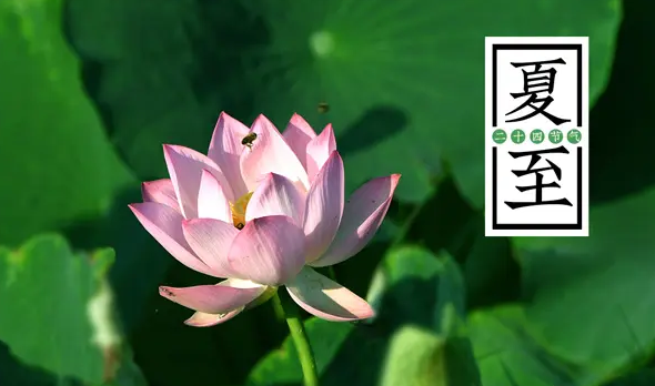 |夏至已至 这几款清凉的首饰最适合中老年人戴了！