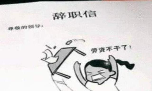 软件|“公司没有寒暑假”,00后毕业生辞职信走红,理由一个比一个任性