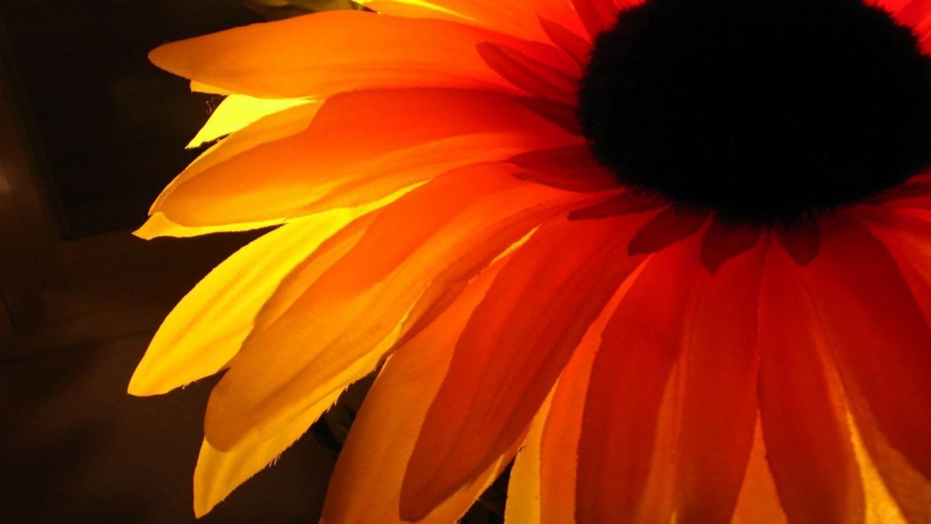 |人生就像一场游戏，没有一个人可以一直活的顺风顺水