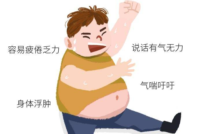 护肤品 减肥易反弹?多半是这3种原因!教你如何调理脾胃,有效减肥!