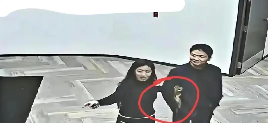 刘婧尧家世:开发商父亲卷入贪腐案被判刑,舅舅帮她解决北京户口