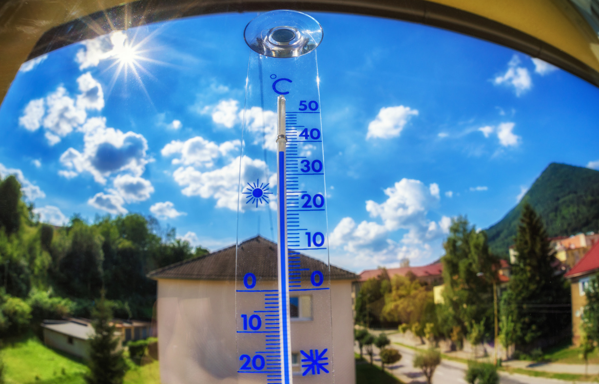 祛湿|夏季如何祛湿和滋养阳气?老中医:这几个养生方法一定要学!