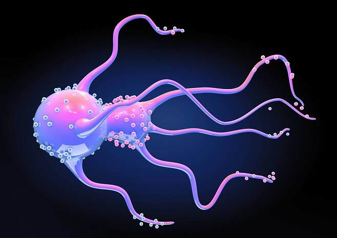 为什么水是生物中食物链最复杂的生物?