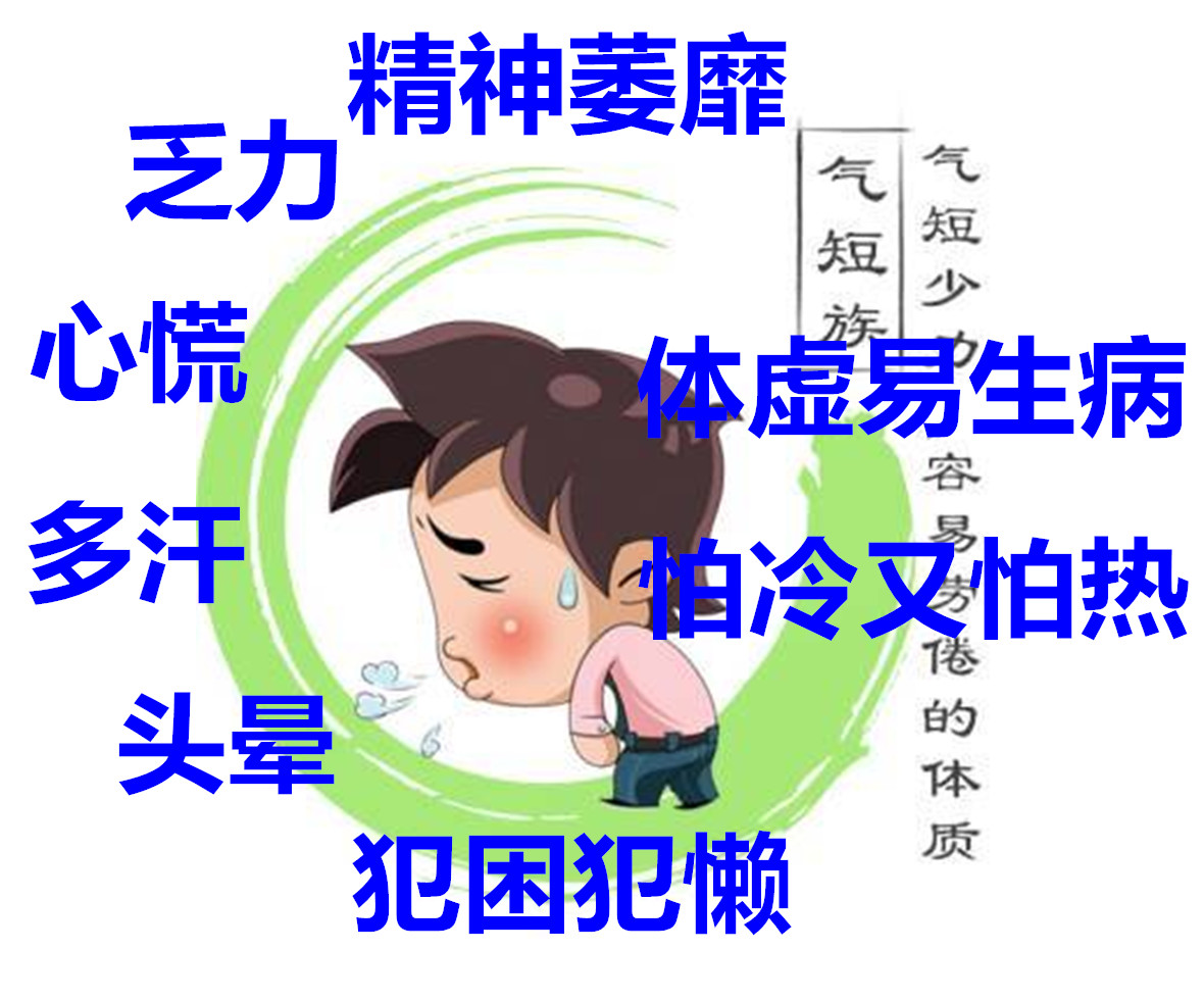 洋葱|气不足，身体虚！四味中药，心肝脾肺肾之气统补，让你元气满满