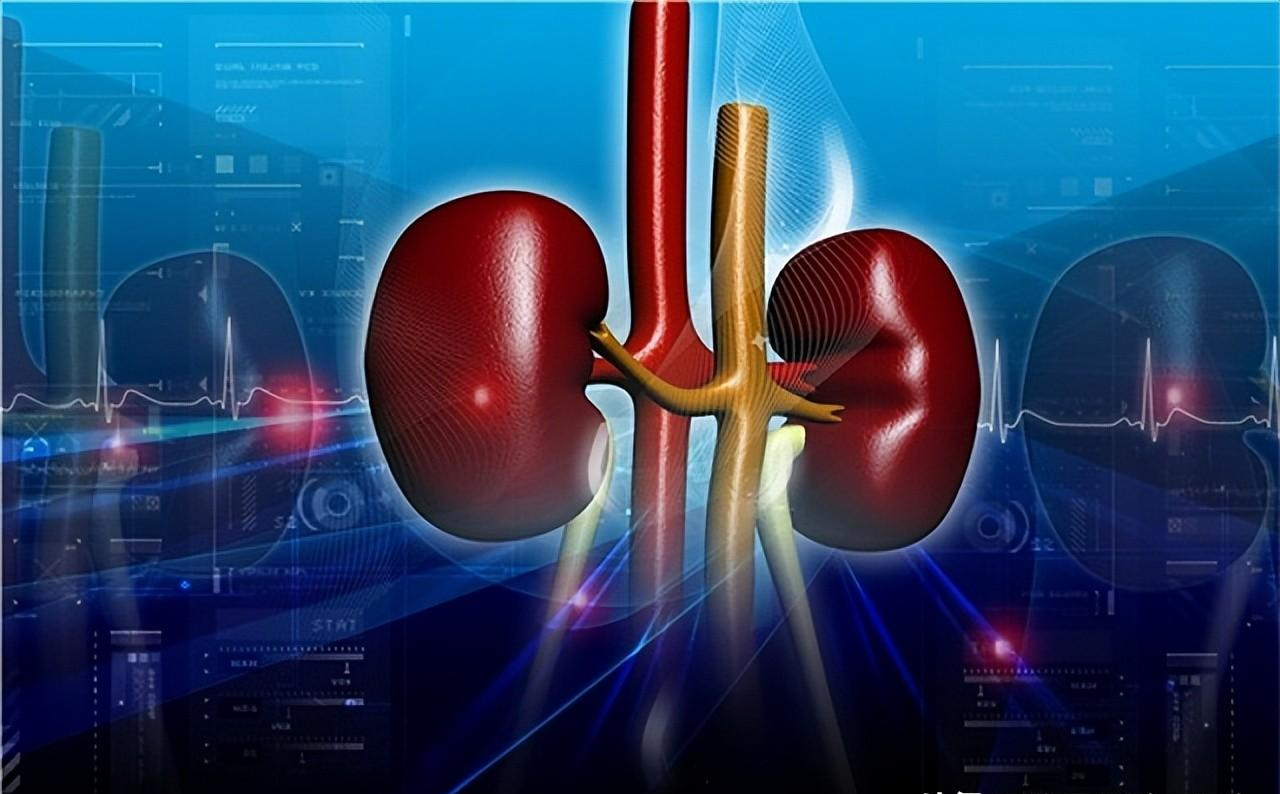 尿毒症|为什么“尿毒症”越来越多?医生劝说:3个习惯别碰,肾会感谢你