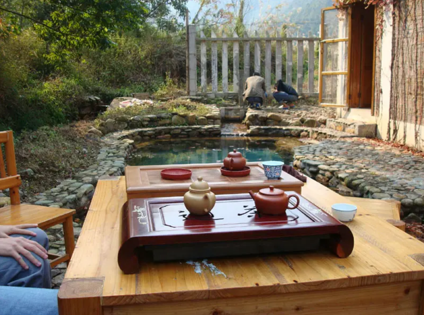 鸡蛋|喝茶,不再是中老年的专属活动,为什么越来越多的年轻人爱上喝茶?