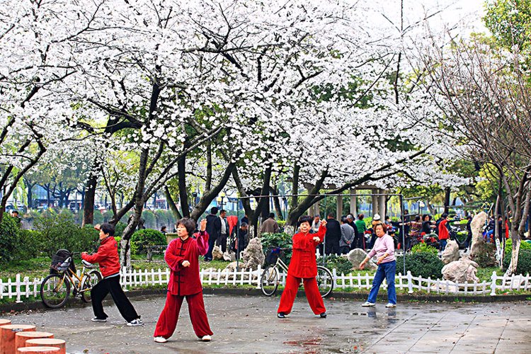 柚子|老年痴呆可以预测了？研究发现：符合3个特征的人，更易患痴呆症