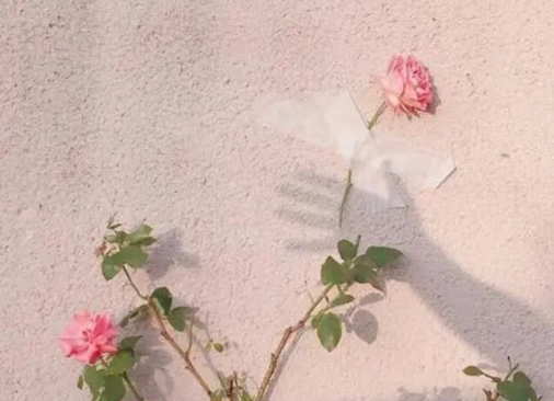 |如何能够让人生有多种可能？你要改变两种思维方式！